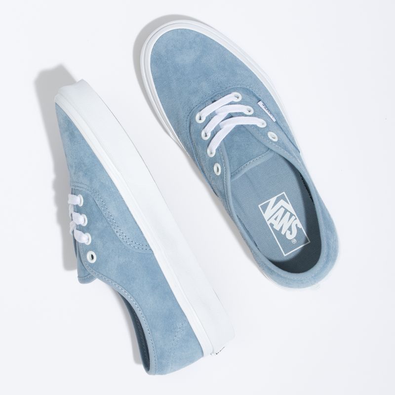 Bajos Vans Authentic Hombre Grises Azules | Mexico-OKM584936