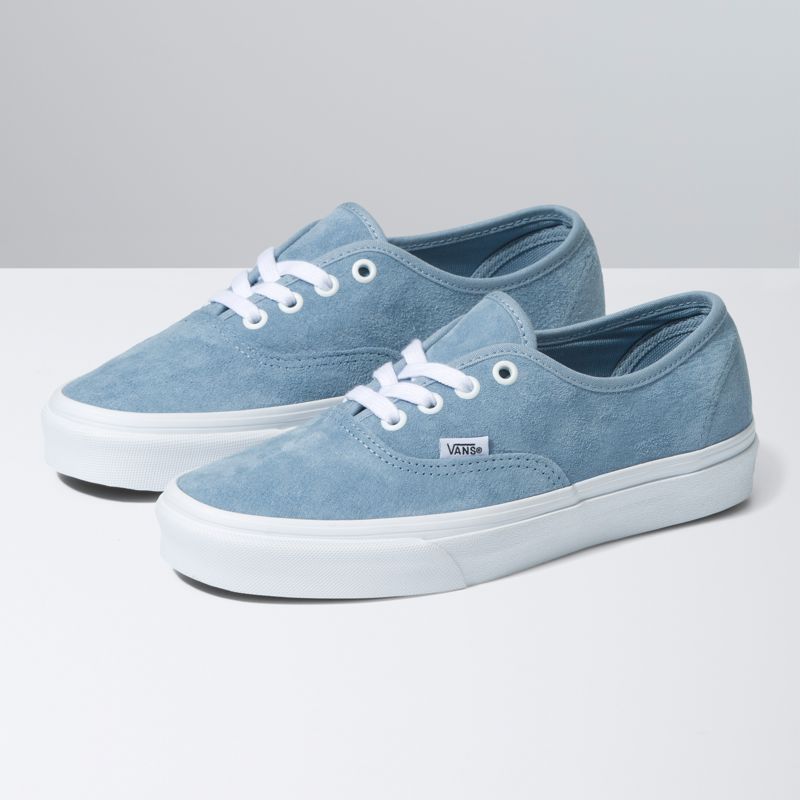 Bajos Vans Authentic Hombre Grises Azules | Mexico-OKM584936