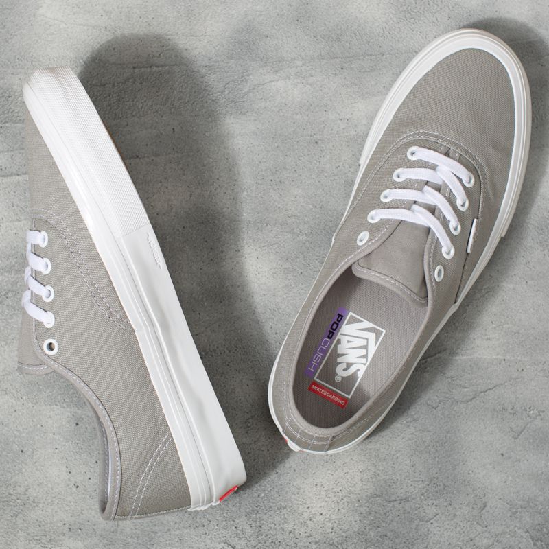 Bajos Vans Authentic Hombre Grises | Mexico-KRA457130