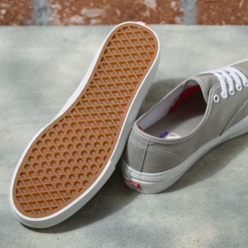 Bajos Vans Authentic Hombre Grises | Mexico-KRA457130