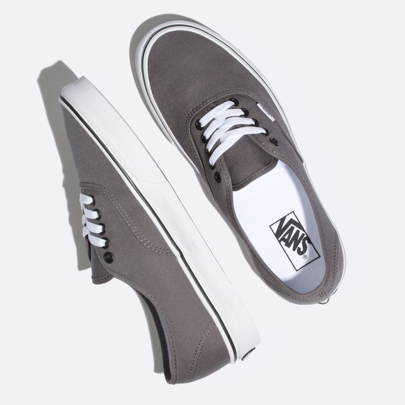 Bajos Vans Authentic Hombre Grises Oscuro | Mexico-TPC302158