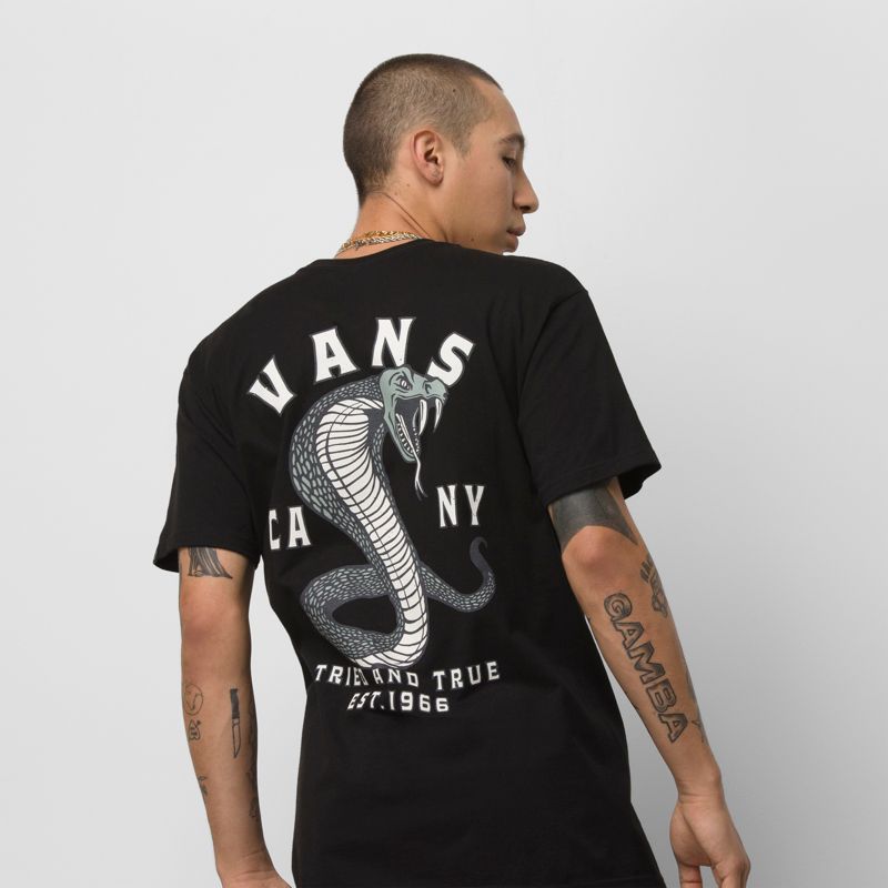 Camiseta Vans Striked Hombre Negros | Mexico-CRA407569