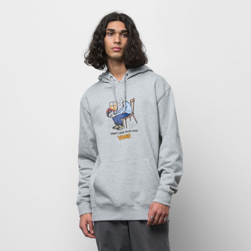 Sudadera Con Capucha Vans Skate Estampados Hombre Grises | Mexico-TSI756249