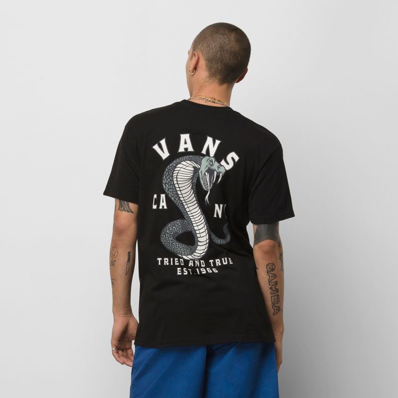 Camiseta Vans Striked Hombre Negros | Mexico-CRA407569